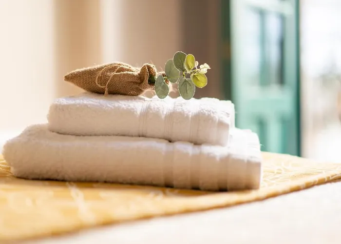 ***** Solaina Burgas ***** En El Casco Viejo *